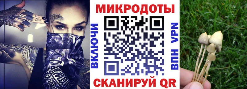 Галлюциногенные грибы GOLDEN TEACHER  кракен рабочий сайт  Кинель 